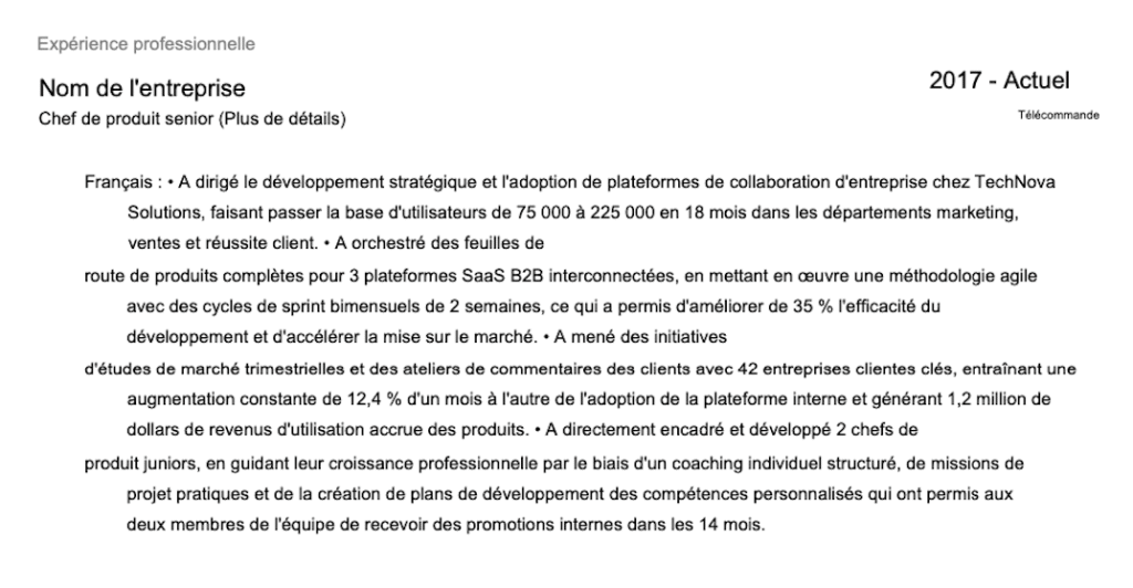 work experience section of a french cv